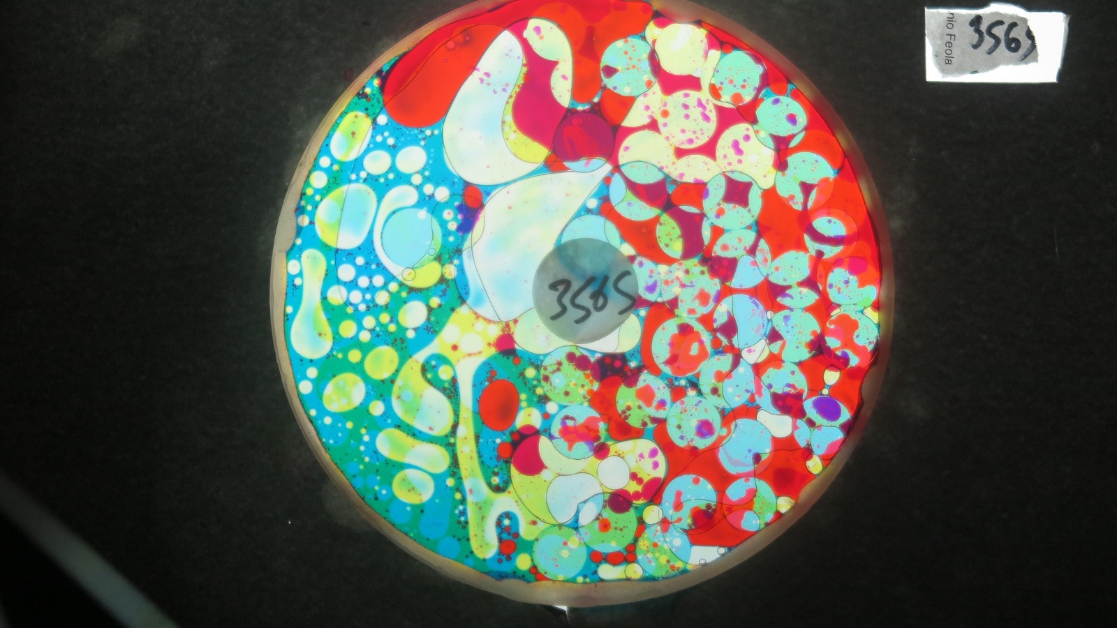 BV3565 bubble vision oil wheel